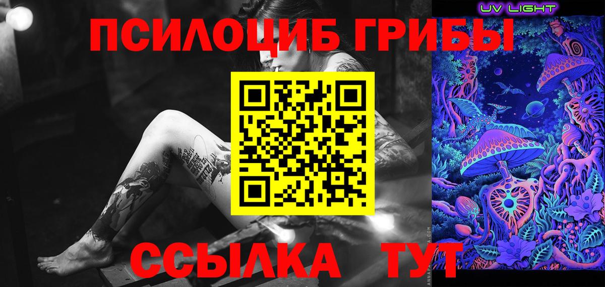 Галлюциногенные грибы Cubensis Ессентуки