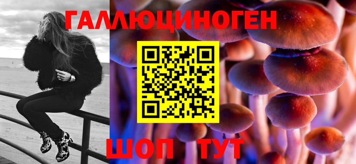 Галлюциногенные грибы ЛСД  где купить наркотик  Ессентуки  Вход с VPN 