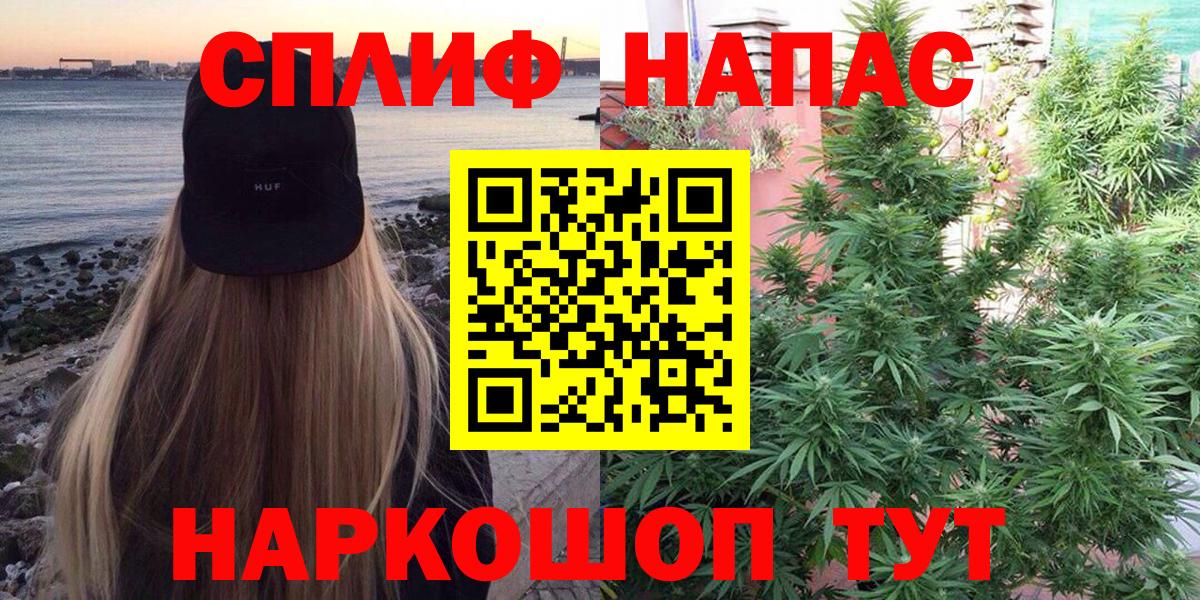 Канабис Amnesia  Шишки марихуана план  Вход с VPN  Бошки Шишки сатива  Ессентуки 